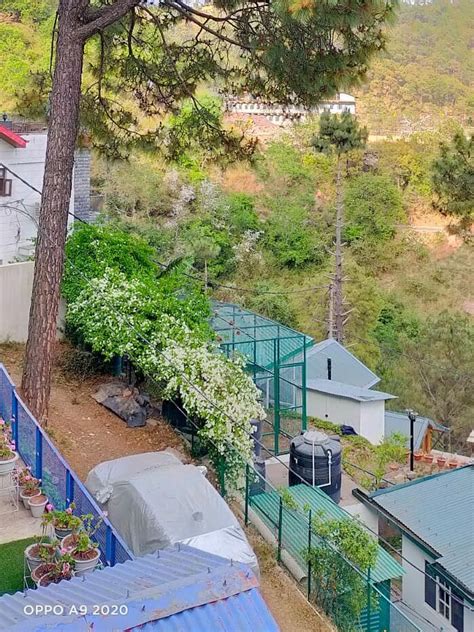 Pine Winds Villa Rooms & Caretaker Kasauli Villa BOOK …