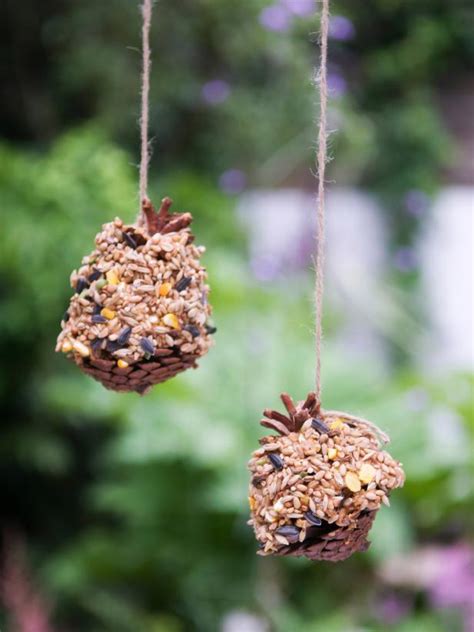 Pine cone bird feeder. This super quick project uses twine, pine cones, peanut butter, and birdseed. Tie a twine loop around a pine cone. Use a butter knife to spread peanut butter into the grooves of the pinecone. Roll the … 