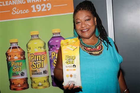Pine sol lady. Feb 7, 2017 · Before she became known 20 years ago as the “Pine-Sol lady” from the cleaning product commercials, Diane Amos was a single mom struggling to make a name for herself in comedy. Prior to Pine-Sol, Amos worked two or three jobs at a time, performing comedy sets at night, all while caring for her young son. 