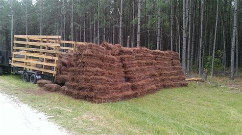 Pine straw delivery near me. Long Leaf Pine Needles. $ 6.79 Per Bale. Rated 5.00 out of 5 based on 3 customer ratings. ( 3 customer reviews) This is the best place to buy bales of long leaf pine needles. Order 50 bales or more online for $6.79/bale and delivery is included within our delivery area. Or- Stop into the store and bales are $5.39 without delivery. 