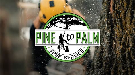 Pine to palm. Public group. 1.2K members. Join group. About. Discussion. Events. Media. More. About. Discussion. Events. Media. Pine To Palm Resort Park 