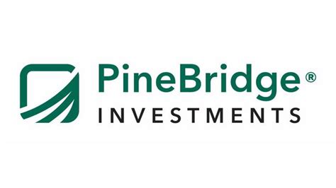 PineBridge Latin America Partners II Profile: Investments