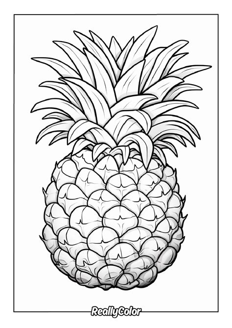 Pineapple Coloring Pages