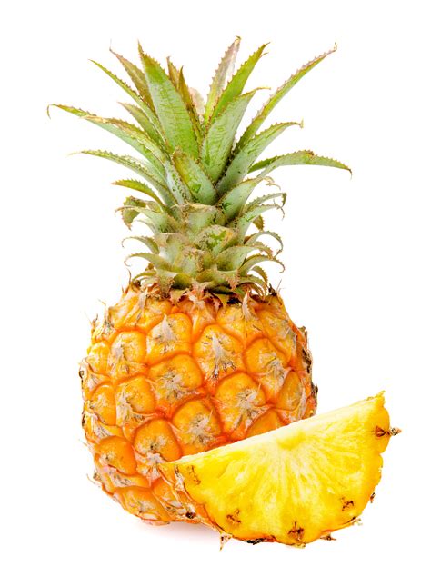 'Ananas comosus' is the botanical name of the fruit we know as the pineapple. Native to South America, it was named for its resemblance to a pine cone.. 