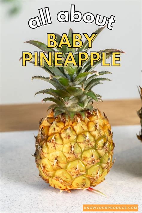 Pineapple_Baby Leaks PORN 💋