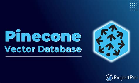 Pinecone vector database free tier. js 16+ - Frontend build Neo4j Instance - Database (Aura...