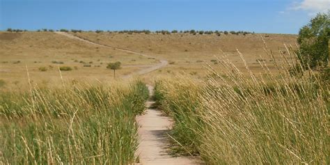 Pineridge Natural Area – Fort Collins, CO - Uncover Colorado