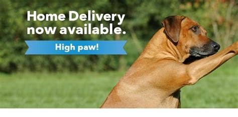 Pineview Veterinary Hospital / Home Delivery / Outward Hound …