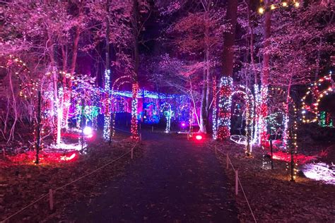 Piney Park Trail of Lights dazzles east Texas - KLTV