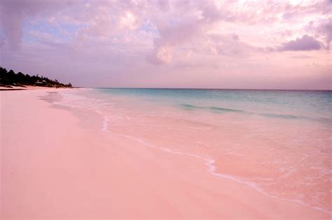 Pink beach bahamas. May 20, 2022 · Although the island is small, it offers one of the most stunning beaches in the Bahamas. Approximately 2.5 miles of the 3.25-mile stretch of beach feature the pink tones for which the island is known before the sand turns white. The Reason Behind Pink Sand. What causes the pink sand beach Bahamas? This question’s scientific response can be ... 