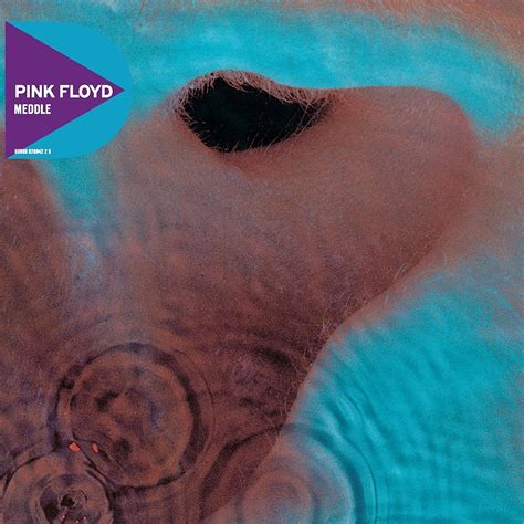 Pink floyd meddle. Thanks everyone for the helpful comments. I'm about to purchase the following Floyd bundle and will let you know how they stack up: 1) DSOM - JPN Pro-use (will compare to my 1983 reissue - SMAS 1-11163- and MFSL) 2) Meddle - JPN Odeon (OP-80375) 3) The Wall - UK first pressing (A-2U/4U/3U/5U) 