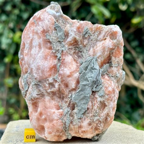 Pink gypsum. Things To Know About Pink gypsum. 