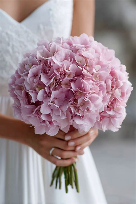 Pink hydrangea wedding bouquet. .  <a href=http://contratos.desarrollamelo.com/assets...