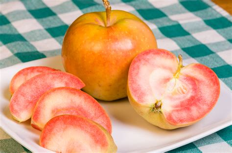 Pink pearl apples. Biting into an apple at a Nova Scotia orchard, Sophie Watts turns the fruit around to show off something unusual — its bright pink flesh. The Pink Pearl is "really crunchy," with "a great ... 