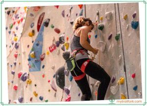 Pink point meaning.  redpoint vs.  See examples of point used in a sentence.  Climbing is Sho...