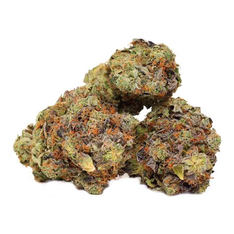Pink pussy strain. Things To Know About Pink pussy strain. 