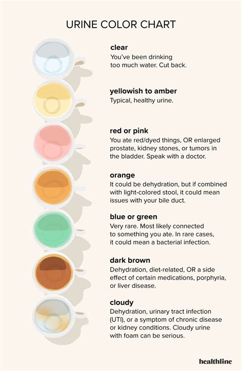 Pink urine in women - Women