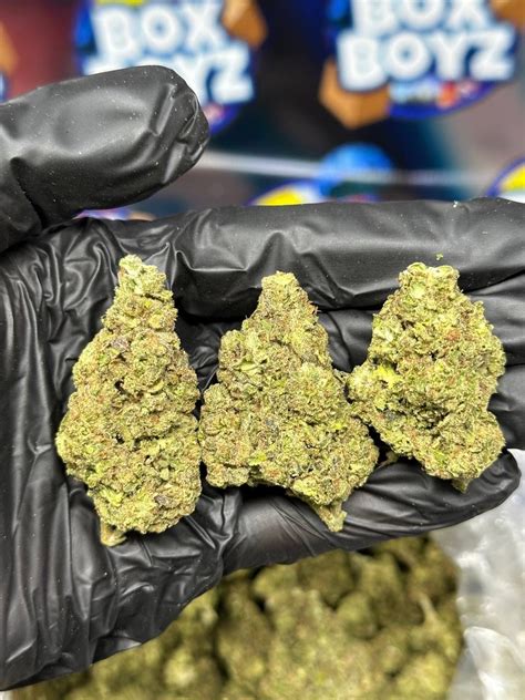 Pink zlushie strain. Things To Know About Pink zlushie strain. 