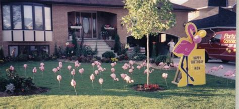 Pinkie flamingo rentals. Flamingo Party People - Flamingos by the yard. 2657 Grand St NE, Suite 2, Minneapolis, MN 55418, US. 651-235-4331. 
