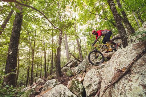 Pinnacle mountain project.  Mountain Biking at Pinnacle Mountain State Park - Video, pic...