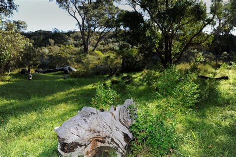Pinnaroo funerals monday.  The Metropolitan Cemeteries Board is a fully self supporting ...