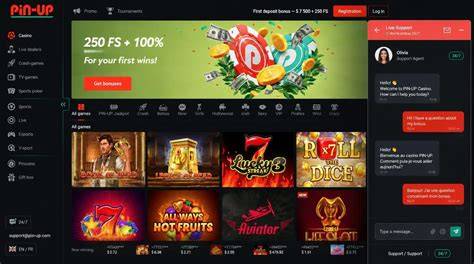 Pinup casino terms for Canadian users