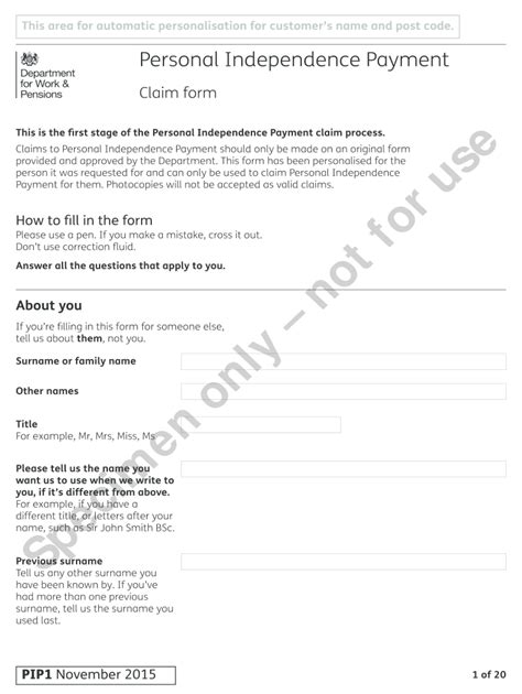 Pip Form Example Answers Fill Out and Sign Printable PDF Template