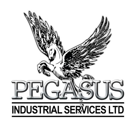 Pipeclamp Handrail – Pegasus Industrial Services, West Midlands …