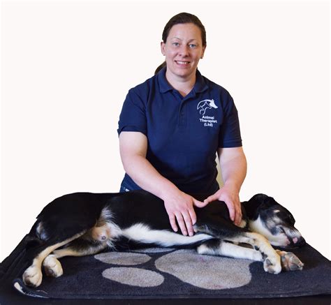 Pippa Winkworth - Cambridge Veterinary Physiotherapy