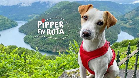 Pipper Onlyfans Leak
