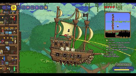 Pirate in Terraria