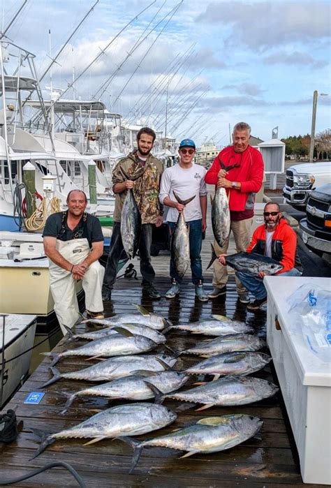 Testy Tuesday. June 20, 2023. The weather turned on us but our Offshore fleet still managed to come back to the docks with Yellowfin Tuna, Mahi Mahi, and Tilefish. Blue Chip had a Citation Yellowfin! The Nearshore Fleet had catches of Spanish Mackerel and Bluefish! Are you ready to get in on the action!? Give us a call 252.473.3906, visit us ...
