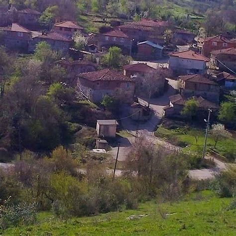 Pirceler Halı ve Koltuk Yıkama