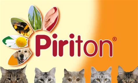 Piriton On My Cat Pet Forums Community