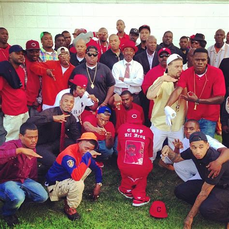 Piru gang. The Piru gang and Bloods share a common enemy in the Crips, but there are differences in their histories, leadership, and structure. What is the significance of the number 135 in 135 Piru? The number 135 is a reference to the block of Piru Street in Compton where the Piru gang was formed. The number is used as a symbol of the … 