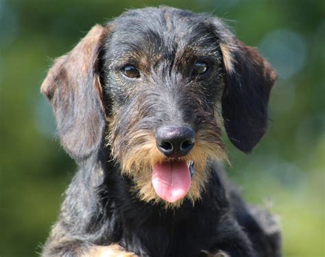 Pissing dur. .  <a href=https://volkswagen-gomel.by:443/yqrtddib/free-sex...