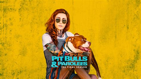 The Pit Bulls and Parolees final season announcement also comes with the trailer for the upcoming season, premiering Saturday, October 22 on Animal Planet. Check out the sweet pups and their parolee handlers in the Season 19 trailer, above. For over 30 years, Tia Torres and her family have gone above and beyond to give a second chance at life .... 
