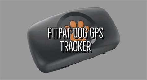 PitPat Dog GPS Tracker Review - Trail Running Shoes