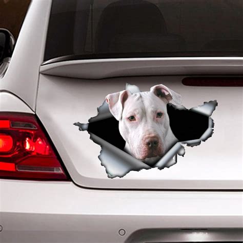 Pitbull Car Sticker - Etsy