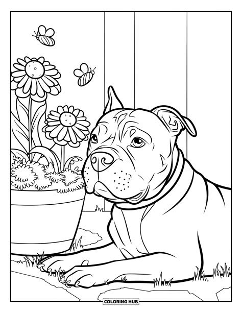 Pitbull Coloring Shee