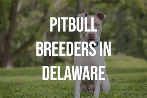 Find Puppies and Breeders near Frederick, MD and helpful information. All puppies found here are from AKC-Registered parents..
