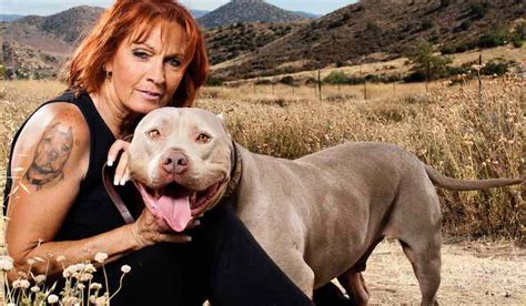Pitbulls and parolees tia. The VRC is featured on the show Pit Bulls and Parolees, which follows their efforts to rescue and rehabilitate abused and abandoned pit bulls with the help of parolees. The VRC was founded by Tia Torres in the 1990s in California as a wolf/wolf hybrid rescue center. 