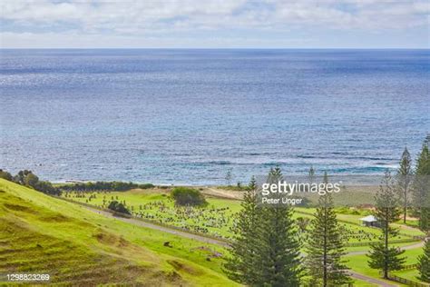 Pitcairn Photos et images de collection - Getty Images