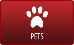 Pittsburgh pennysaver pets. Things To Know About Pittsburgh pennysaver pets. 