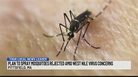 Pittsfield rejects plan to spray Mosquitoes amid West Nile Virus concerns