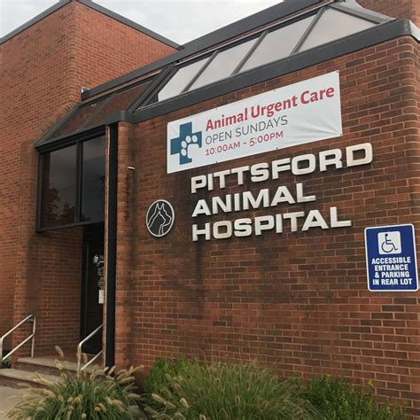 Pittsford animal hospital. Dr. Adam Ainspan, originally from Albany, NY, graduated from the University of Tennessee College of Veterinary Medicine in 1989. He completed an internship in companion animal medicine and surgery at The … 