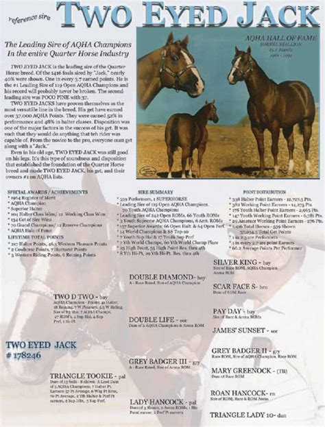 Pitzer ranch two eyed jack.  It analyses real-time system data from the remote ...