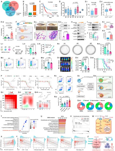 Pivotal role of cytosolic phospholipase PLA2G4A in the …