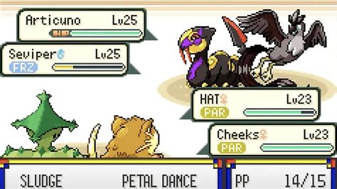 Pkhex randomizer.  After that, it will create a randomized rom for you to use as an outp...