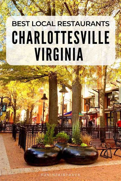Places to eat in charlottesville. Pizza, Salads, Sandwiches, Vegetarian options. $$ $$ Timberwood Tap House Pub & bar, Restaurant. #217 of 974 places to eat in Charlottesville. Closed until 11AM. American, Beer bars, Vegetarian options. $ $$$ Fuzzy's Taco Shop Mexican, Restaurant. #296 of 974 places to eat in Charlottesville. Closed until 10AM. 